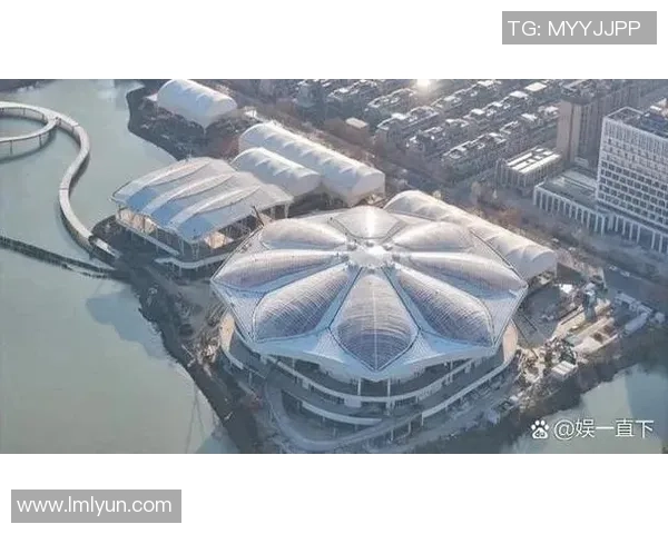 南京网球队的节奏与战术分析探讨网球运动的未来发展方向