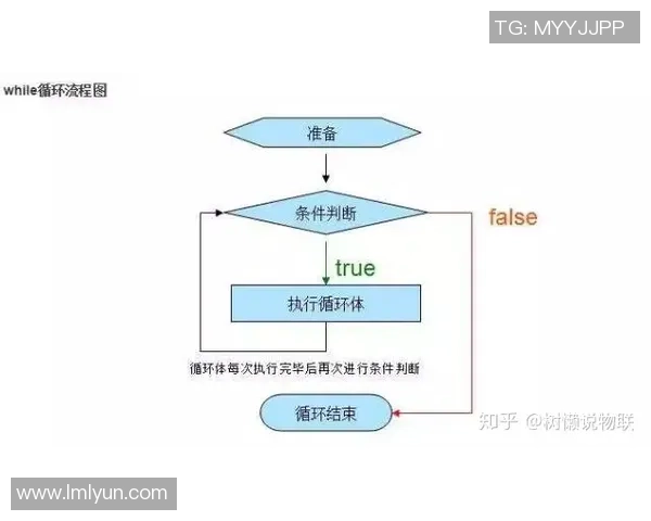 攀岩新手必看：从零基础到技术入门的全面攻略与实用技巧分享