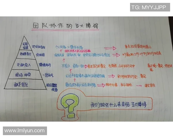北京飞盘队团队协作表现的深入数据分析与探讨